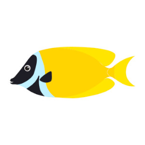 РЫБА ЛИСИЦА ЛО