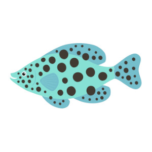 ГРУПЕР ЛЕОПАРДОВЫЙ