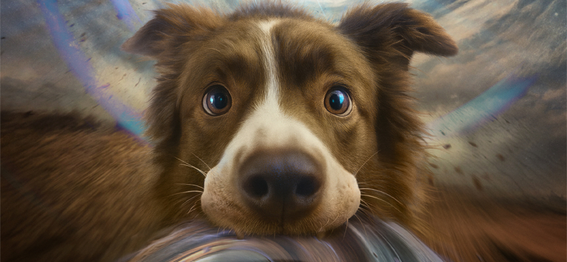 Космическая собака Лида